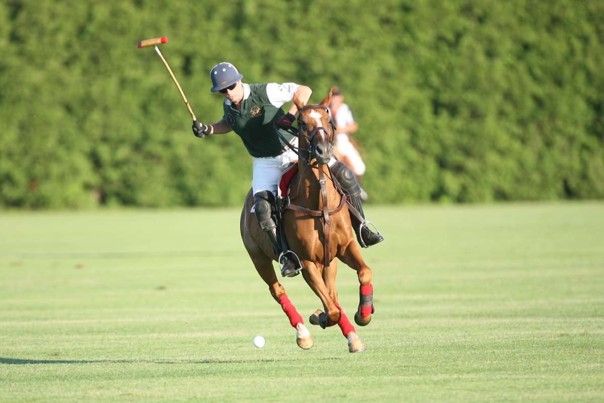 Sheffield Country Polo