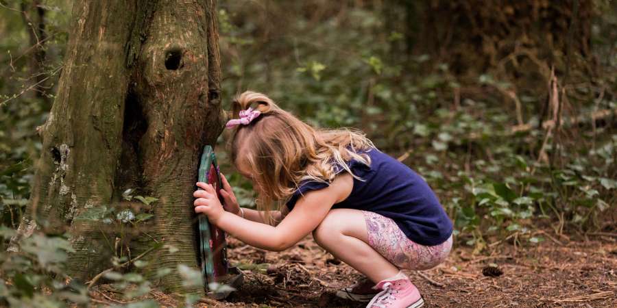 McHughs Forest Park, biking trails | Selwyn.nz